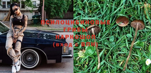 гидропоника Абаза
