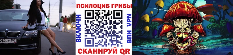 где можно купить   Миллерово  Галлюциногенные грибы прущие грибы 
