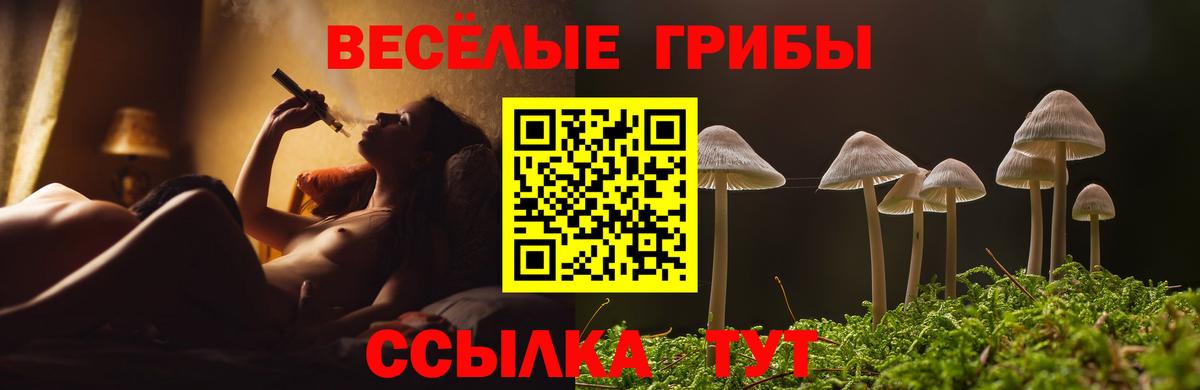 Миллерово  наркошоп  Вход с VPN  Галлюциногенные грибы прущие грибы 